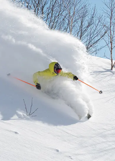 Skier